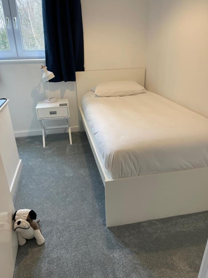 The Beeches - Serviced Duplex Apartment شيفيلد المظهر الخارجي الصورة